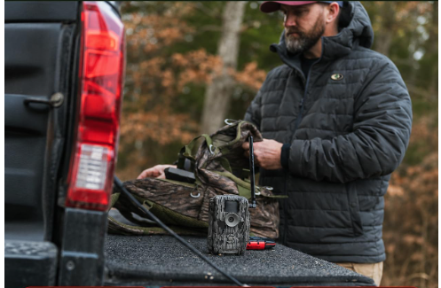 Best Trail Cameras With Solar Panel