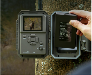Best Trail Cameras With Live View