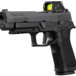 Best Red Dot For Sig p211 gto​