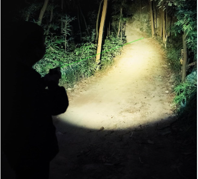Best Weapon Light For Glock 17 Gen 5